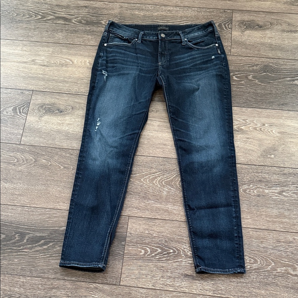 Silver Jeans Women's Indigo Skinny Jeans